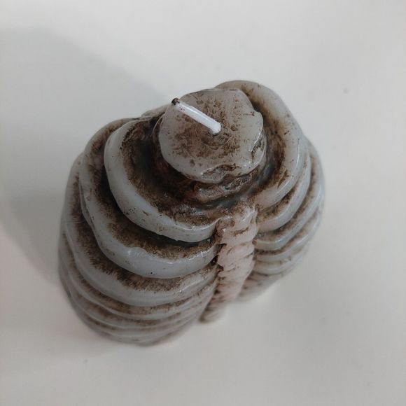 Halloween Bleeding Rib Cage Thorax Candle Wax Red Spooky Decor Party Hum… - Picture 5 of 10